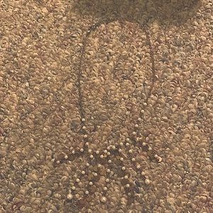 Tan and White Beaded Necklace